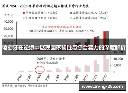 葡萄牙在逆境中展现国家韧性与综合实力的深度解析