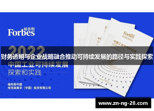 财务透明与企业战略融合推动可持续发展的路径与实践探索