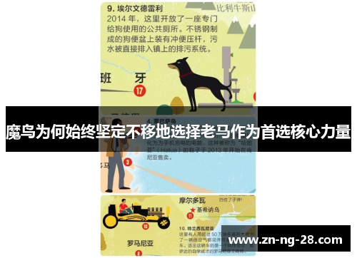 魔鸟为何始终坚定不移地选择老马作为首选核心力量