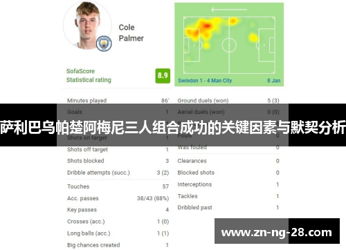 萨利巴乌帕楚阿梅尼三人组合成功的关键因素与默契分析