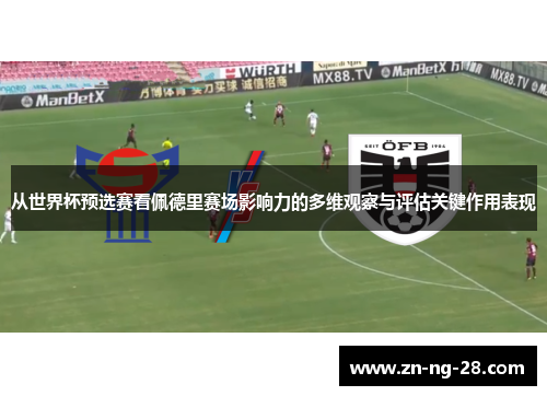 从世界杯预选赛看佩德里赛场影响力的多维观察与评估关键作用表现