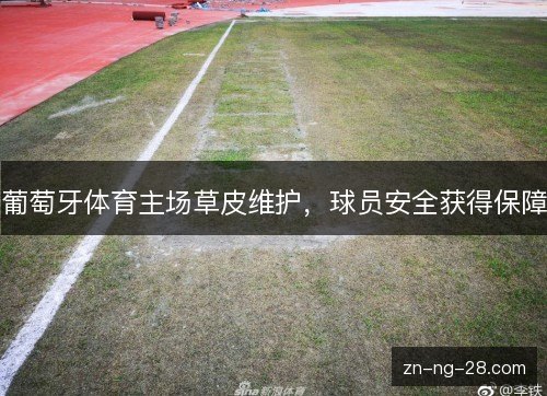 葡萄牙体育主场草皮维护,球员安全获得保障 葡萄牙体育主场草皮维护,球员安全获得保障